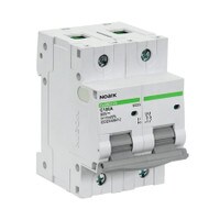 Noark Ex9B1E 2P DC220V C 100A MCB